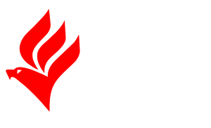 Academia Gaviões - Franqueado (Logotipo)